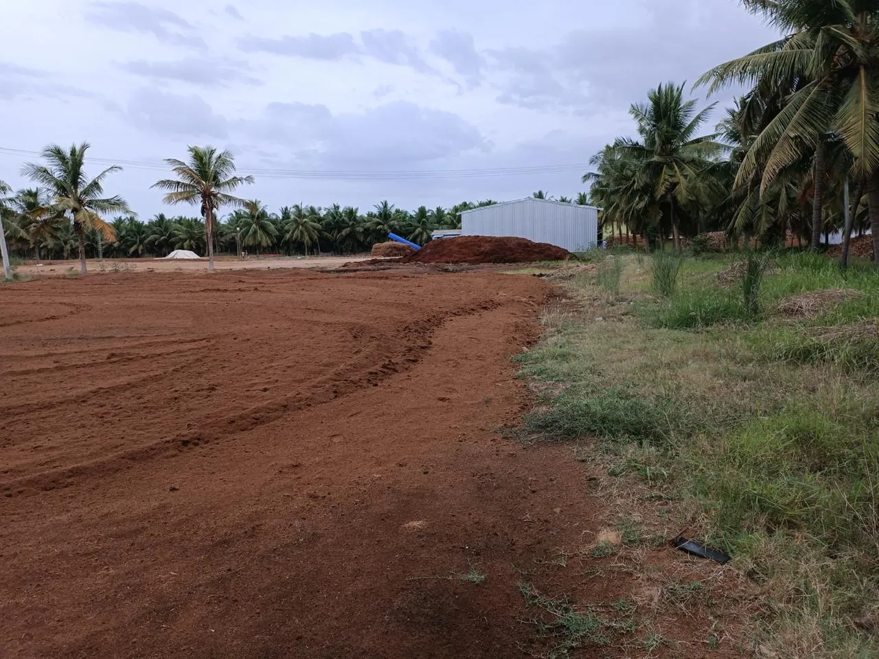 Coir fiber processing at the factory